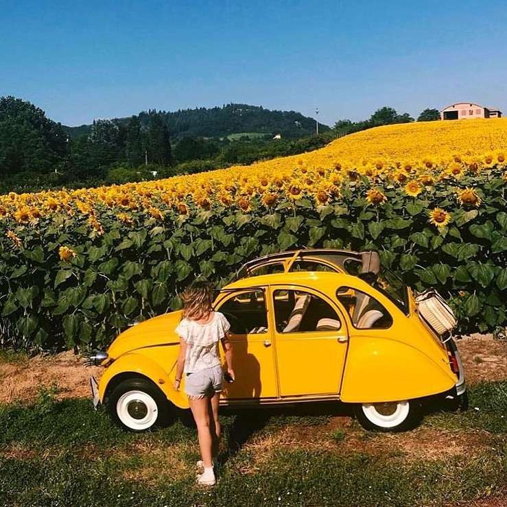 Κίτρινο αυτοκίνητο με φόντο κίτρινα ηλιοτρόπια online παζλ