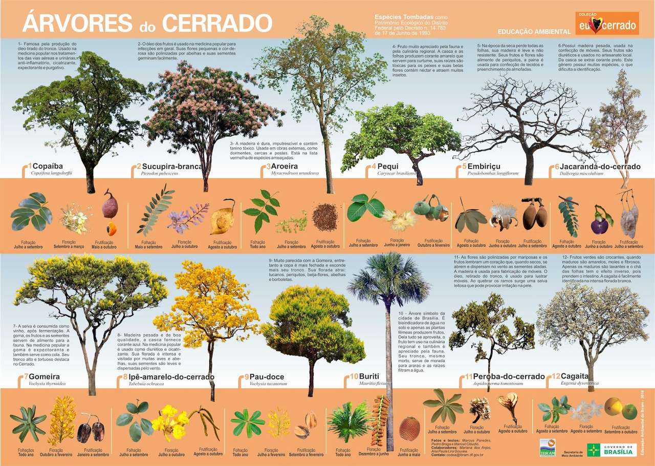 Cerrado дървета онлайн пъзел