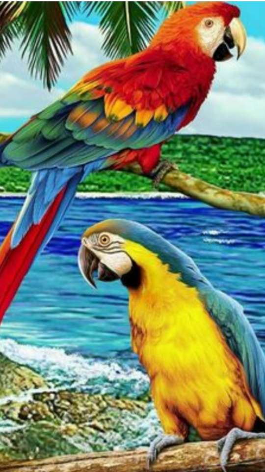 Papagei auf dem See Online-Puzzle