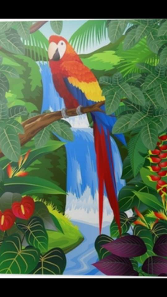 Papagaio bonito. puzzle online