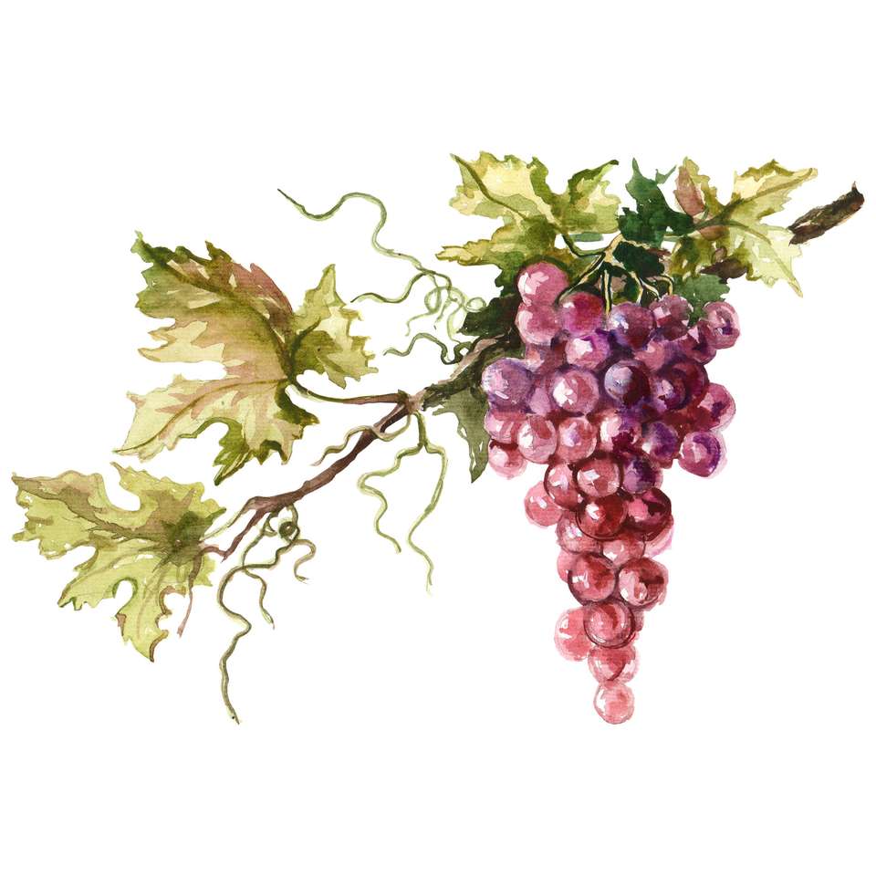 szőlő ág kirakós online