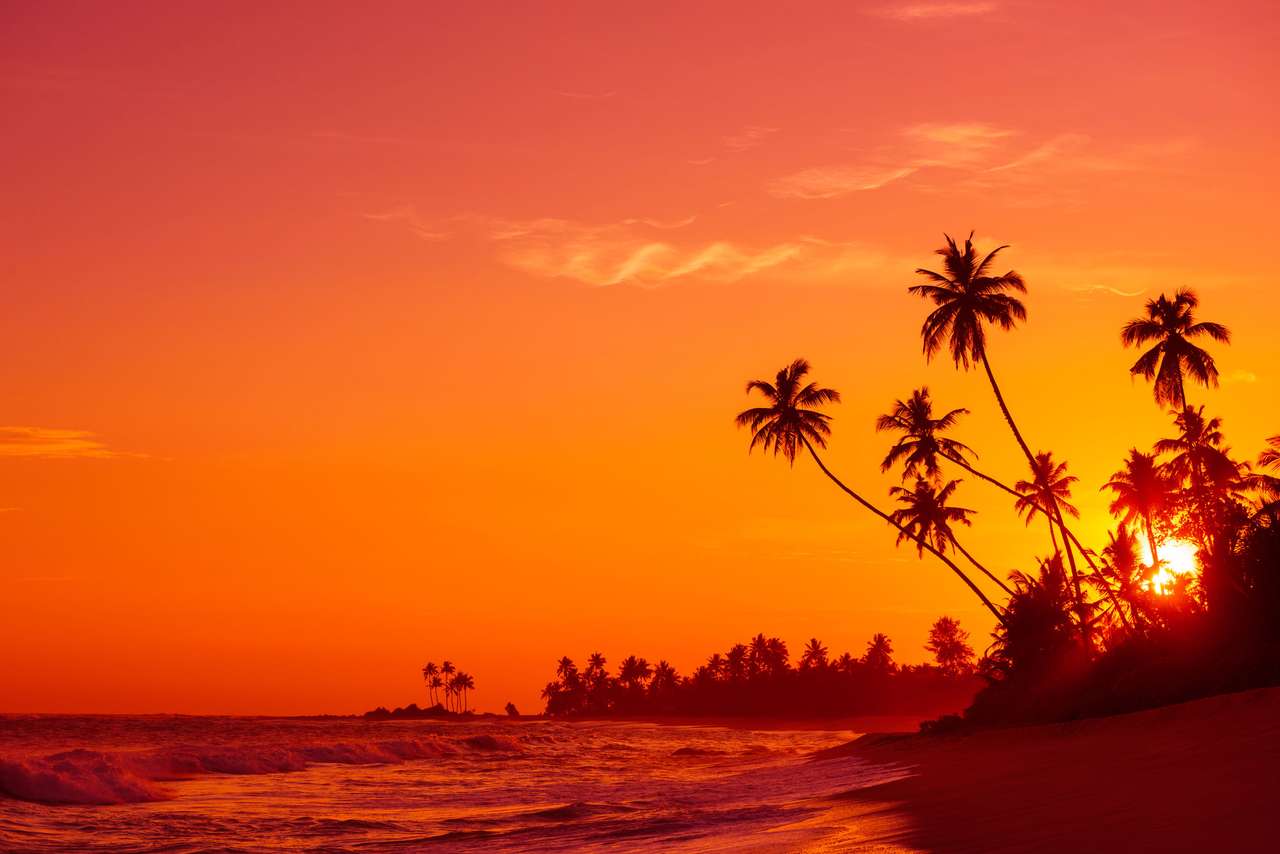 Тропически океански плаж онлайн пъзел