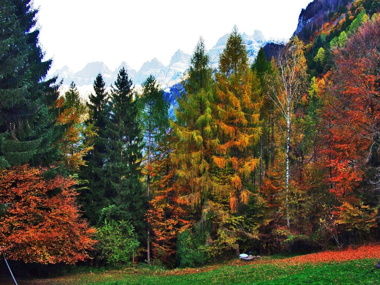 Podzim v lesích online puzzle