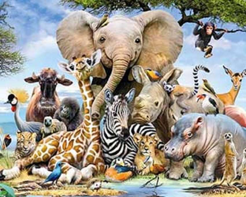 Different animal species online puzzle