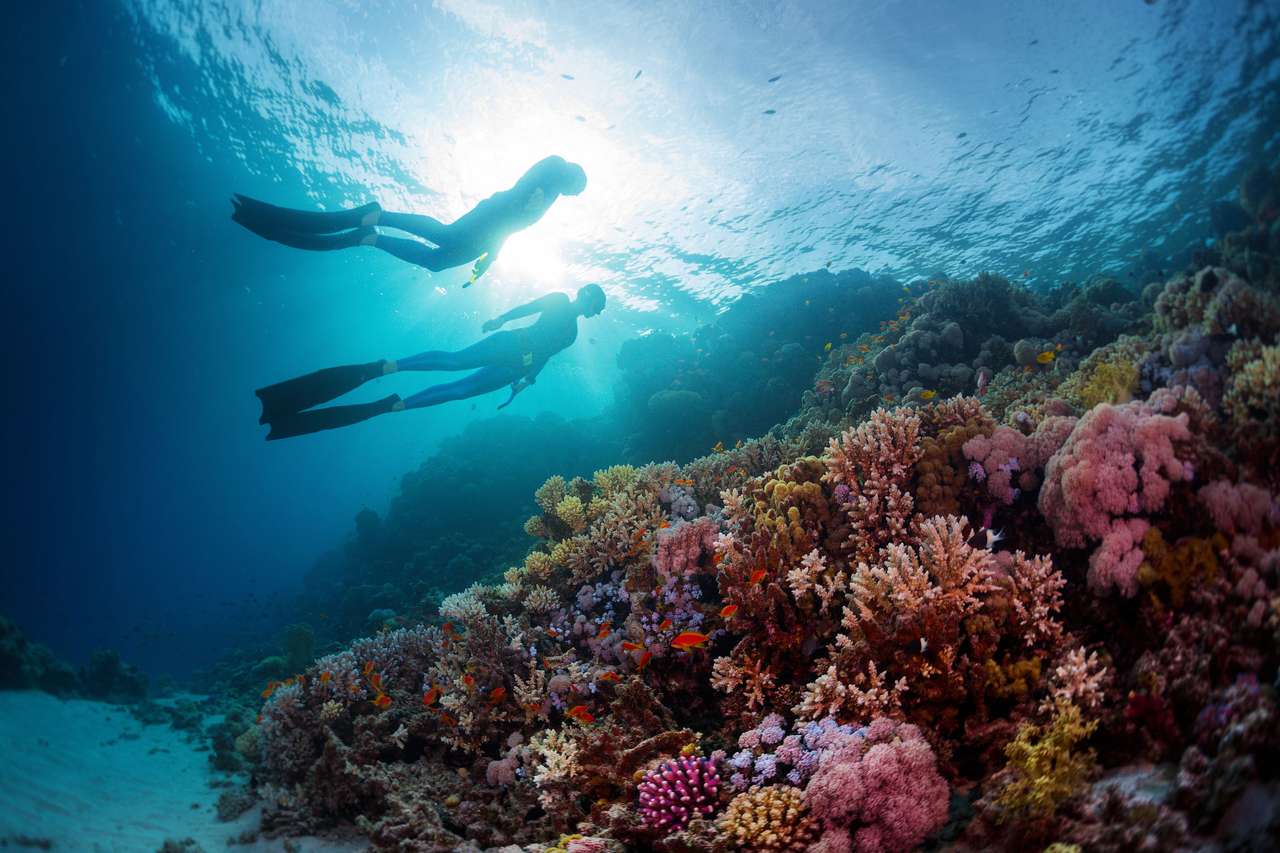 Doi scafandri înot subacvatic puzzle online