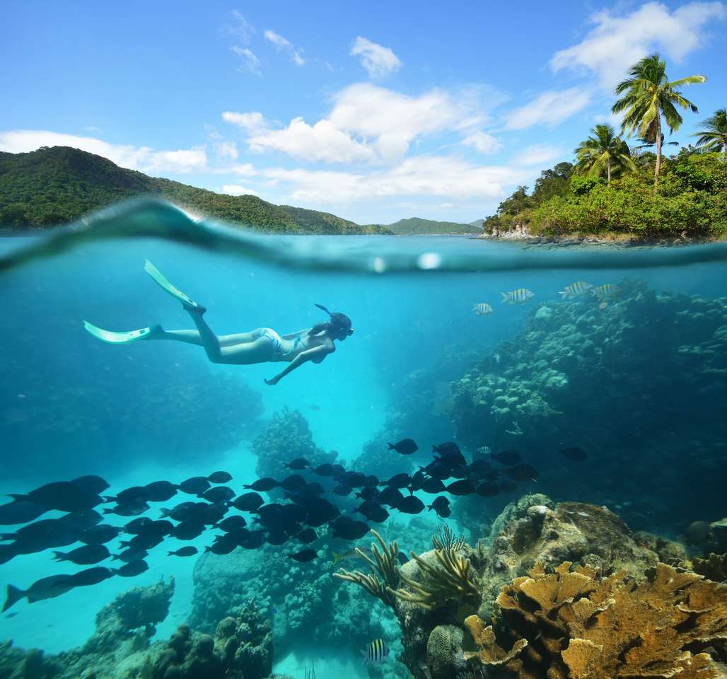 Krásný korálový útes skládačky online