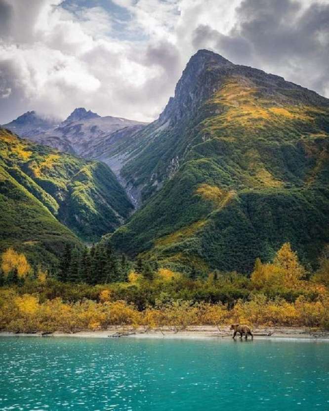 Sur l'Alaska. puzzle en ligne