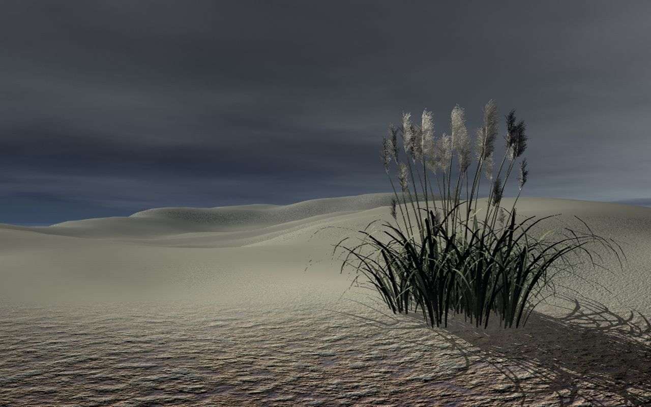 Пучок травы на пляже онлайн-пазл