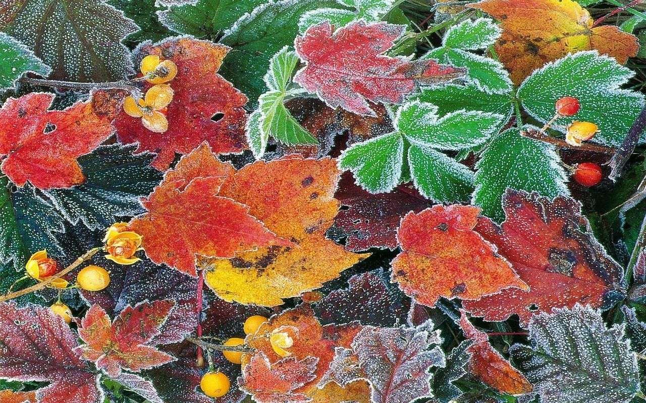 Jesenne bladeren online puzzel