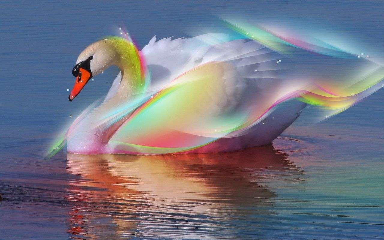 Swan colorat jigsaw puzzle online