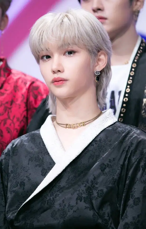 Felix ♡ Stray Kids ♡ Back Door - online puzzle