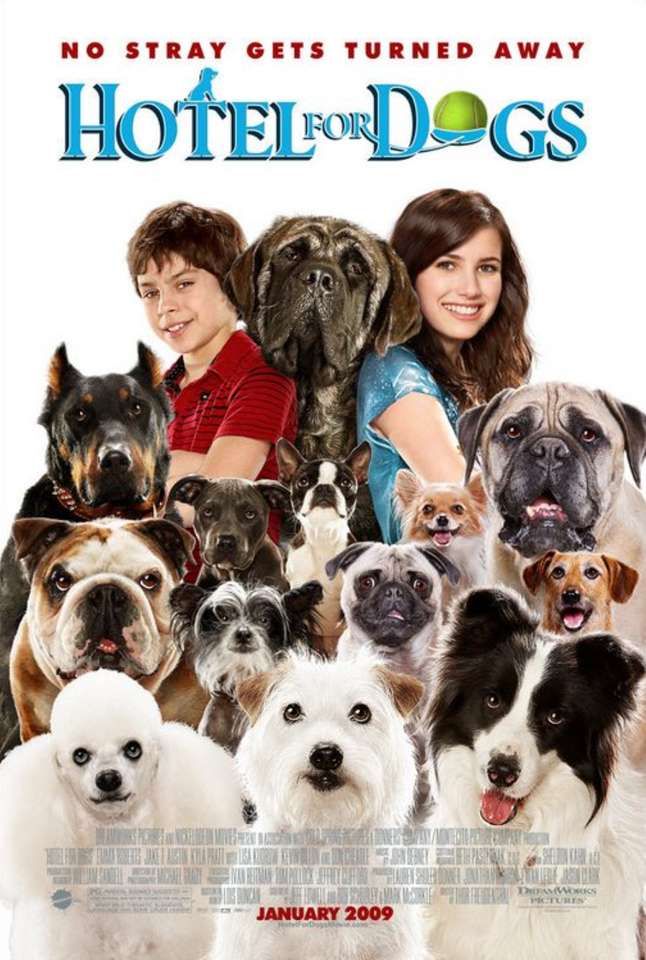 Hotel for Dogs Movie Poster puzzle online