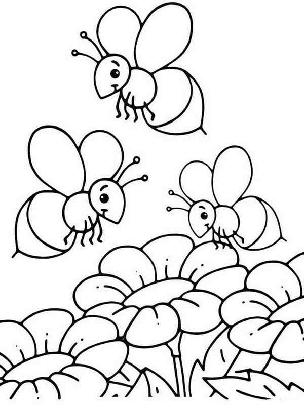 Včely v zahradě skládačky online