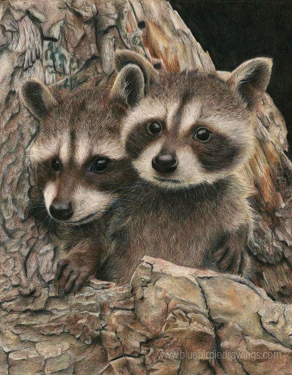 Two Cute Raccoons jigsaw puzzle online
