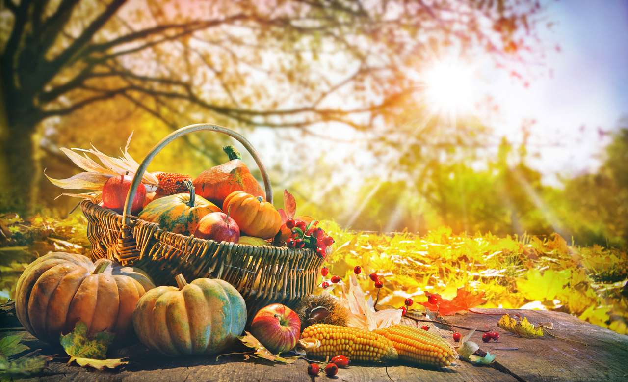 Thanksgiving pompoenen en vallende bladeren legpuzzel online