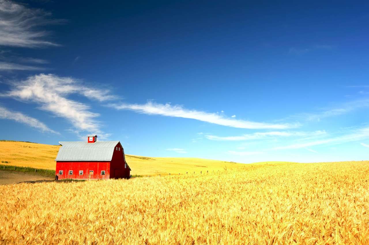 Celeiro vermelho na névoa de um campo de trigo quebra-cabeças online
