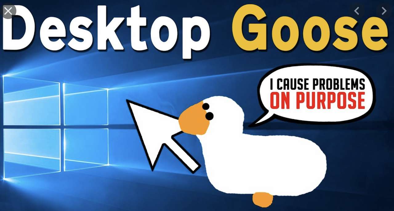 Desktop Goose online παζλ