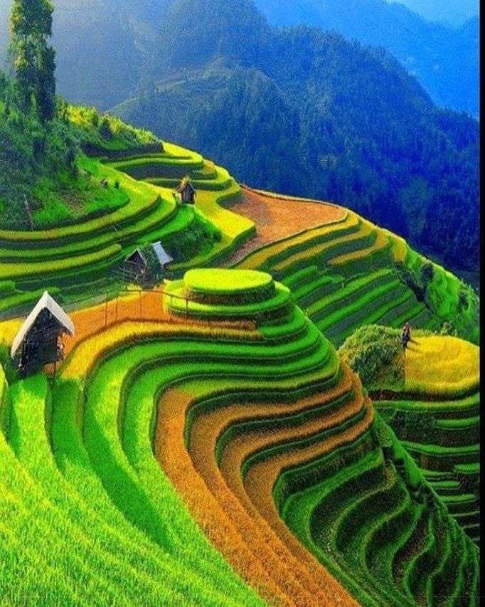 Пейзаж во Вьетнаме пазл онлайн