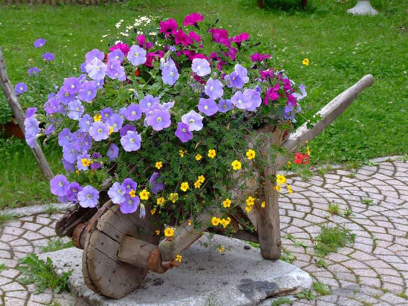 Ξύλινο καροτσάκι με λουλούδια online παζλ