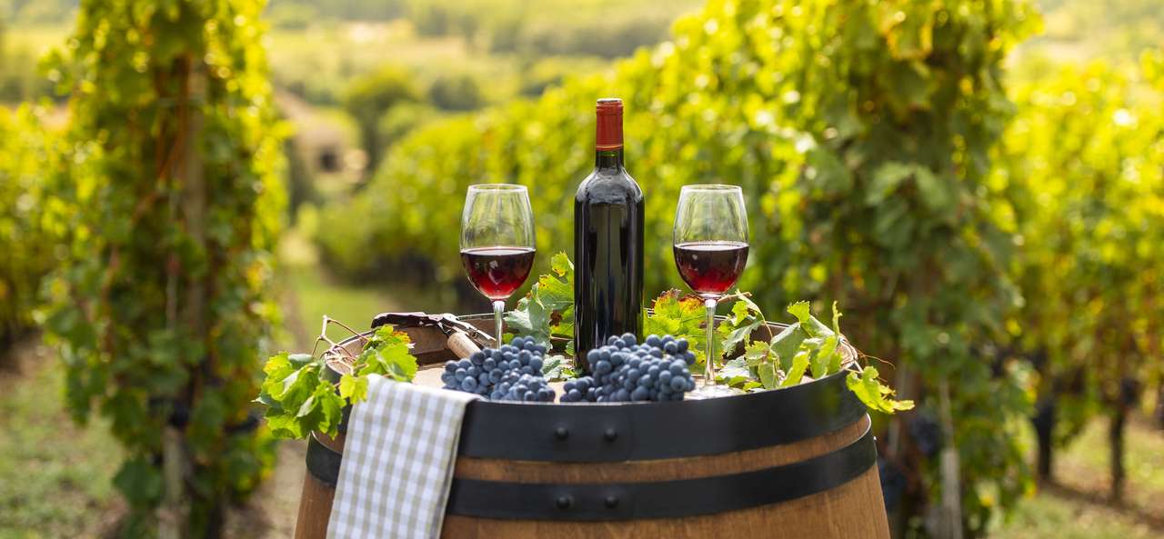 Реколта вино глас и кошница за грозде в лозе онлайн пъзел