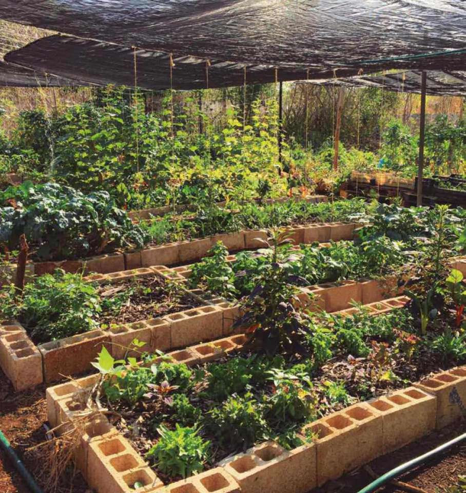 Városi kertek kirakós online