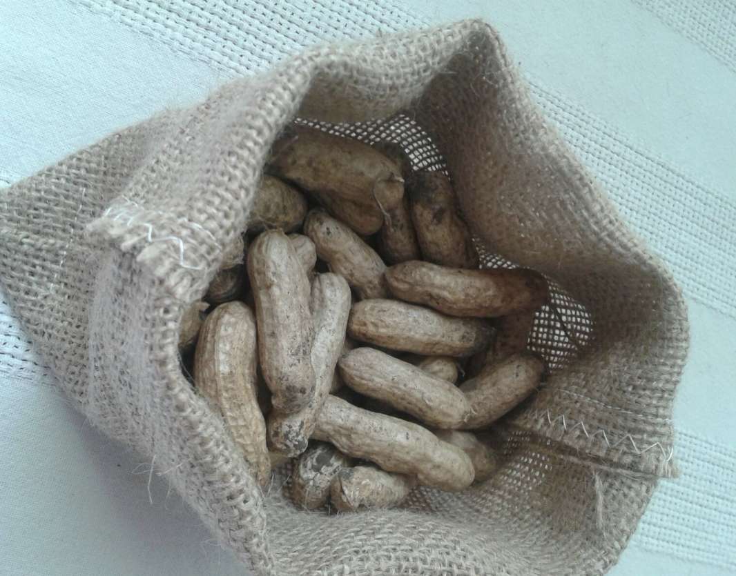 Семена арахиса можно посеять онлайн-пазл