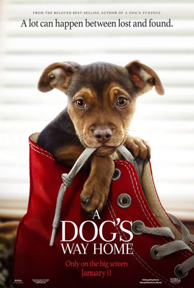 A dog’s way home film poster jigsaw puzzle online