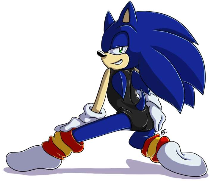 Καλέστε με το Sonic το σκαντζόχοιρο παζλ online