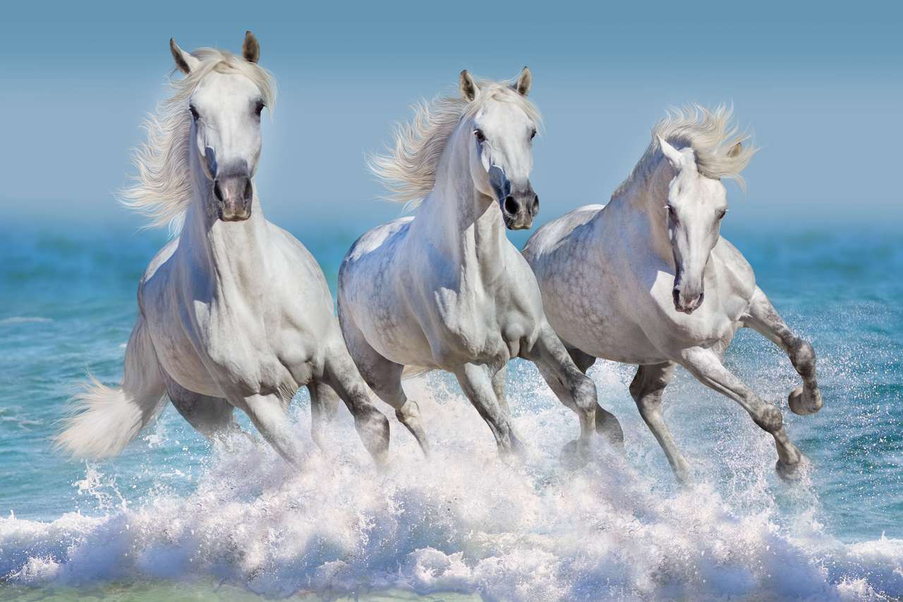 Manada de caballos corre galope en oleadas en el océano rompecabezas en línea