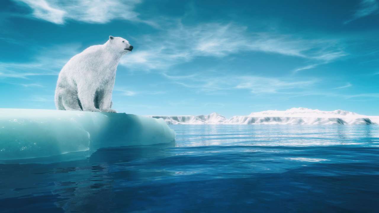 Білий ведмідь на шматку льодовика онлайн пазл