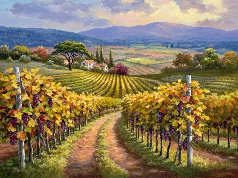 Landschap van wijnstokken in de Provence online puzzel