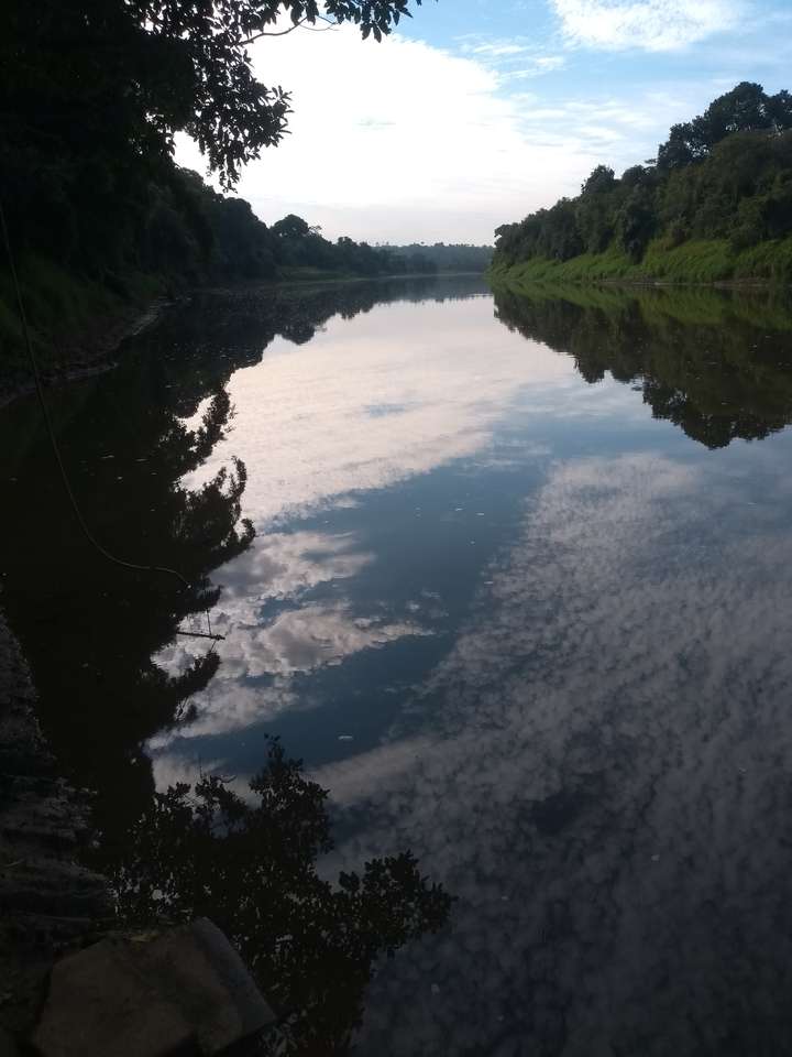 Річка Пірасікаба пазл онлайн