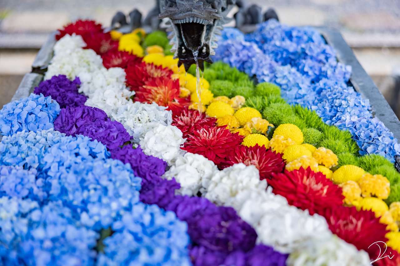 Mooie drijvende bloemen online puzzel
