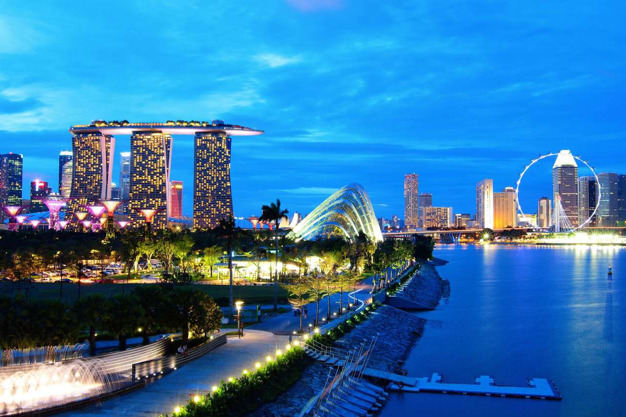 Skyline de Singapur en la noche rompecabezas en línea