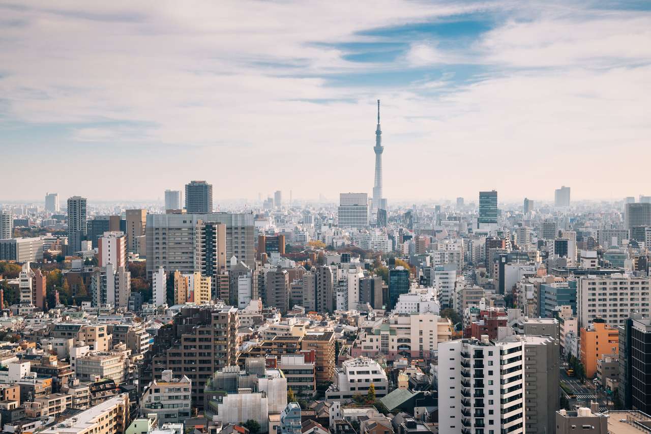 Городской пейзаж Токио онлайн-пазл
