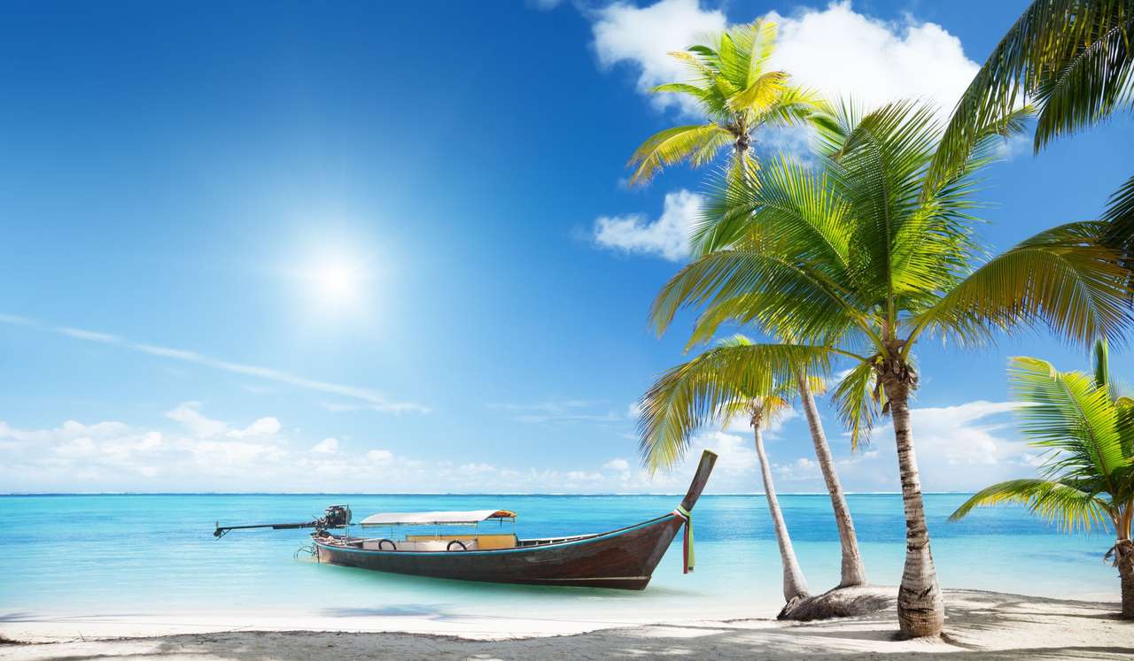 Barca in legno sulla spiaggia caraibica puzzle online