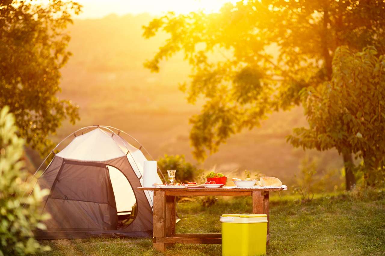 Camping Masa de familie în vacanță puzzle online