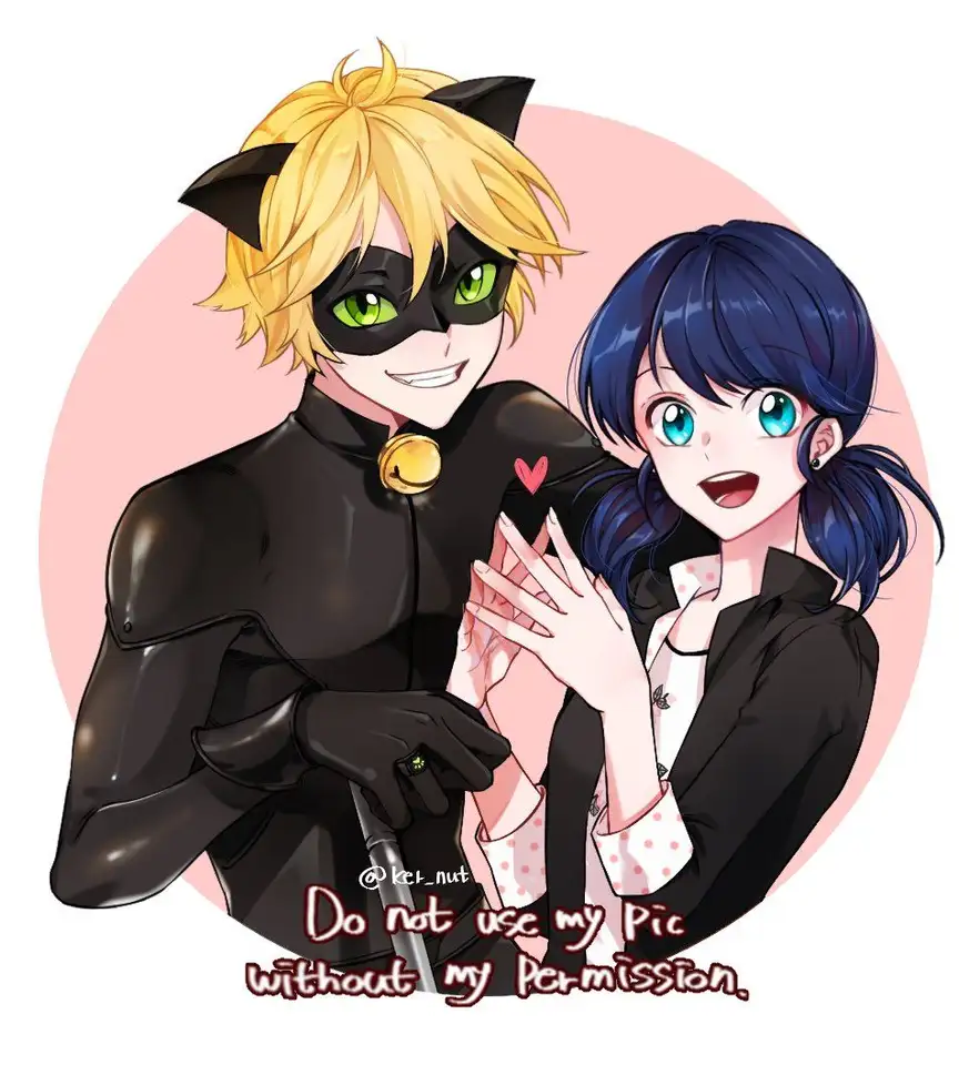 Adrien/Cat Noir as an ANIME character(Fanart is NOT mine..)