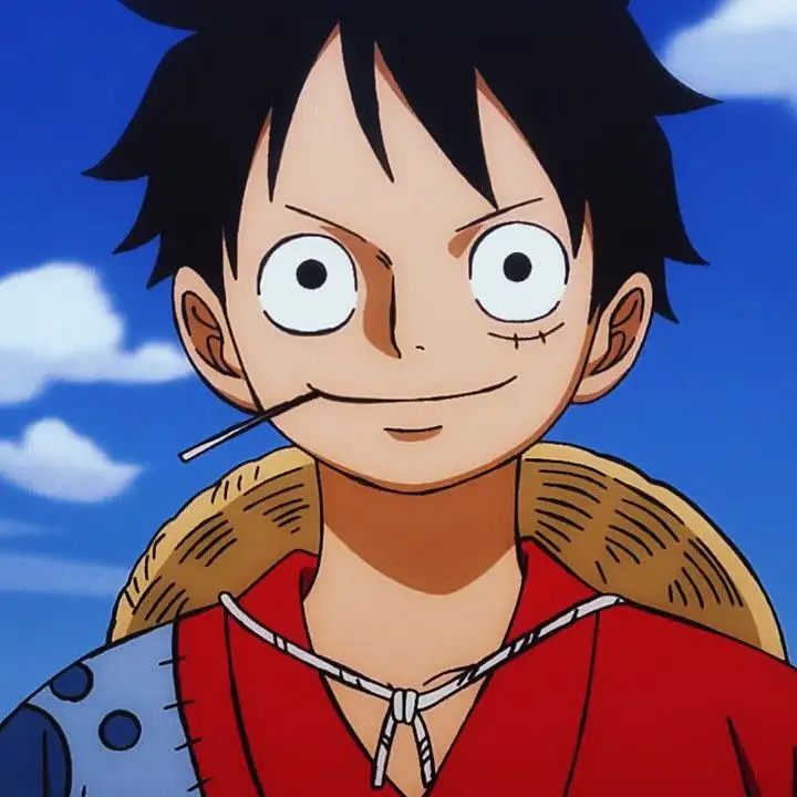 ＭＯＮＫＥＹ Ｄ. ＬＵＦＦＹ