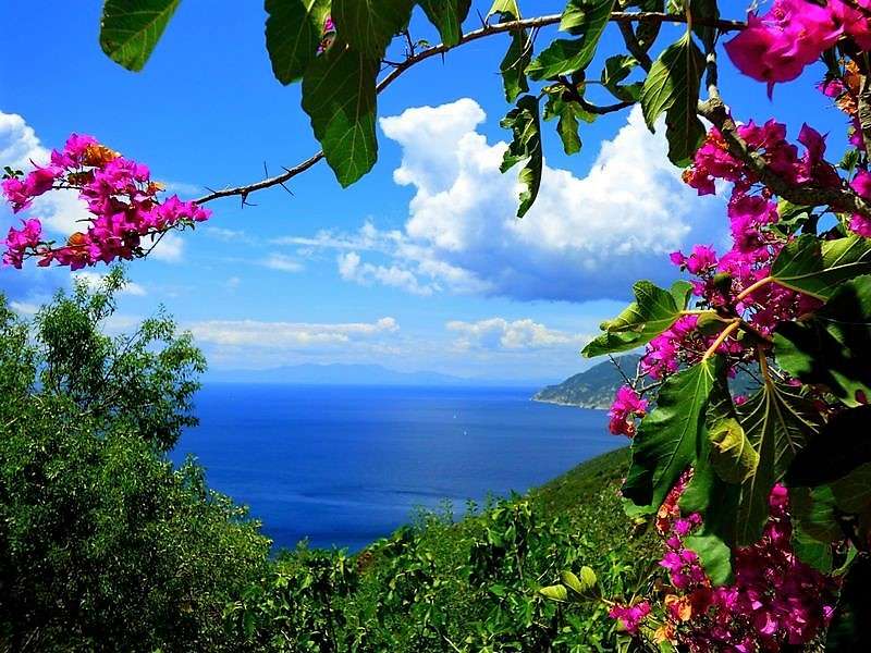 Αλόννησος Ελληνικό νησί παζλ online