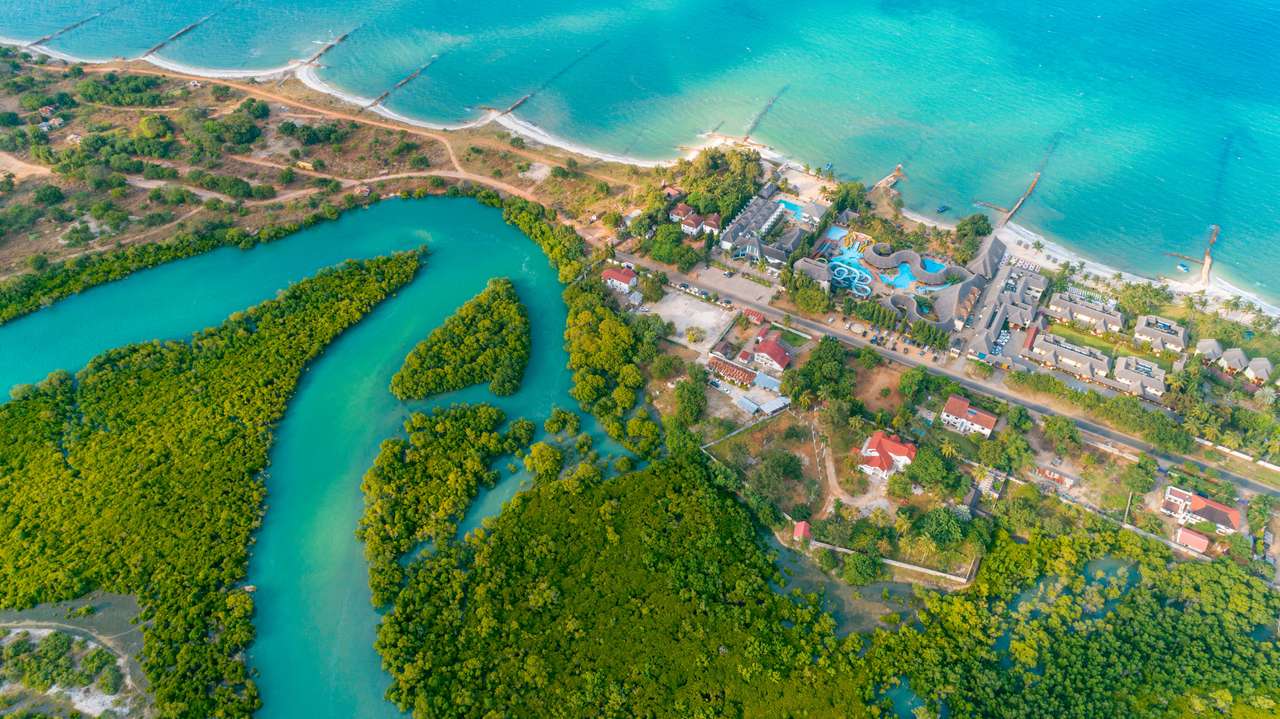 Въздушен изглед на блатата на мангровите онлайн пъзел