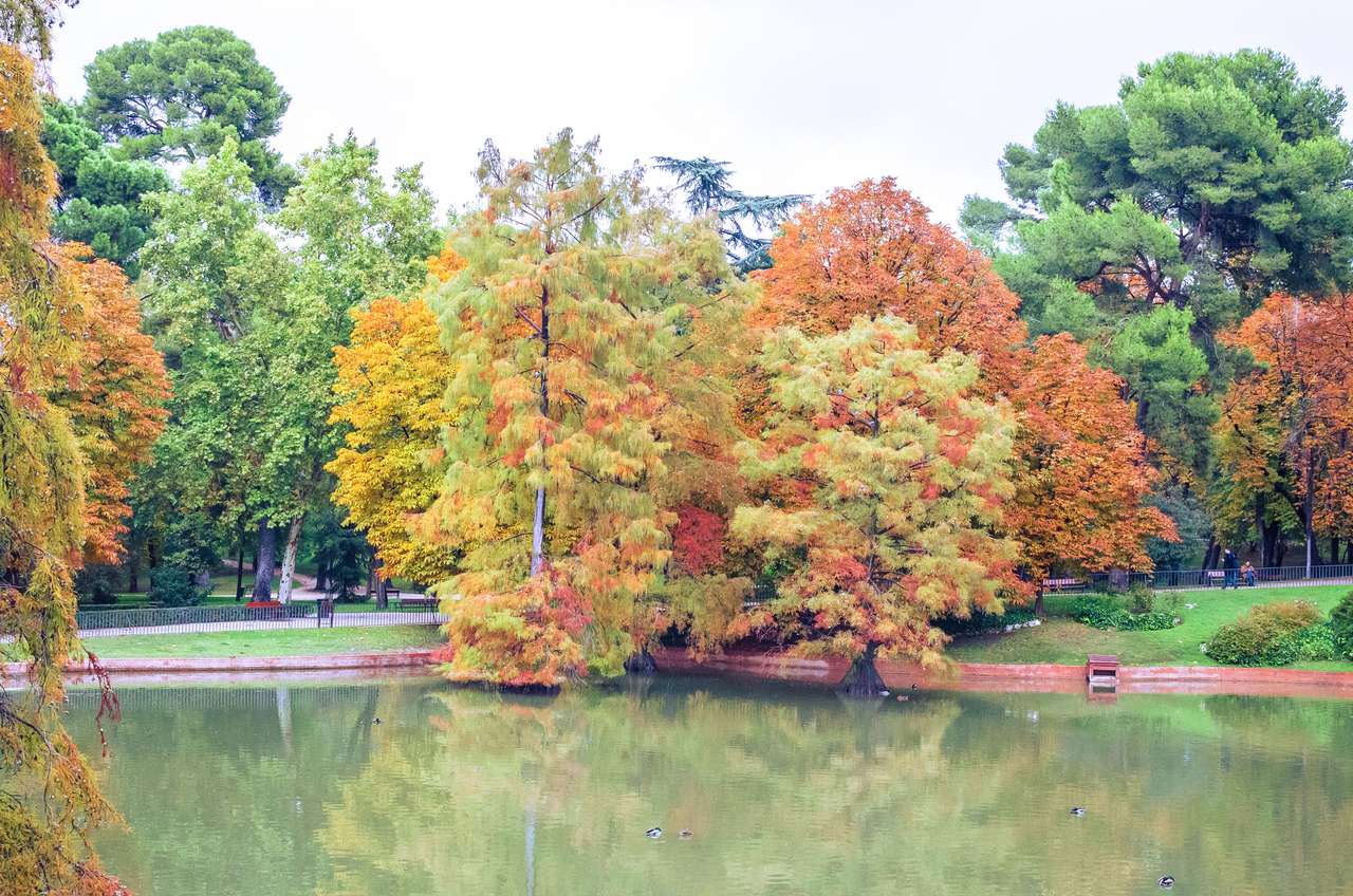 池と色とりどりの秋の木々 ジグソーパズルオンライン