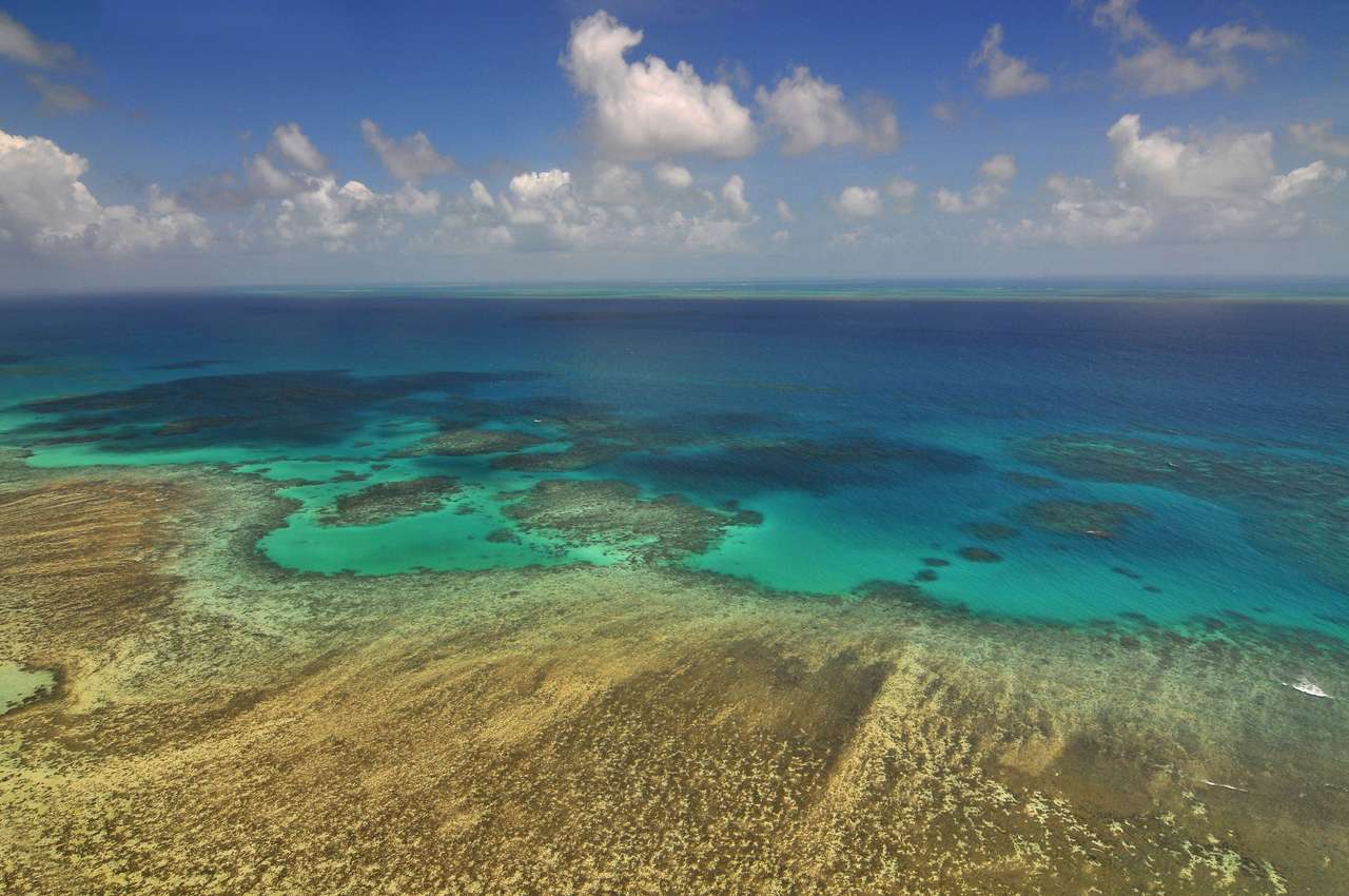 Вид з повітря на Великий Бар'єрний риф пазл онлайн