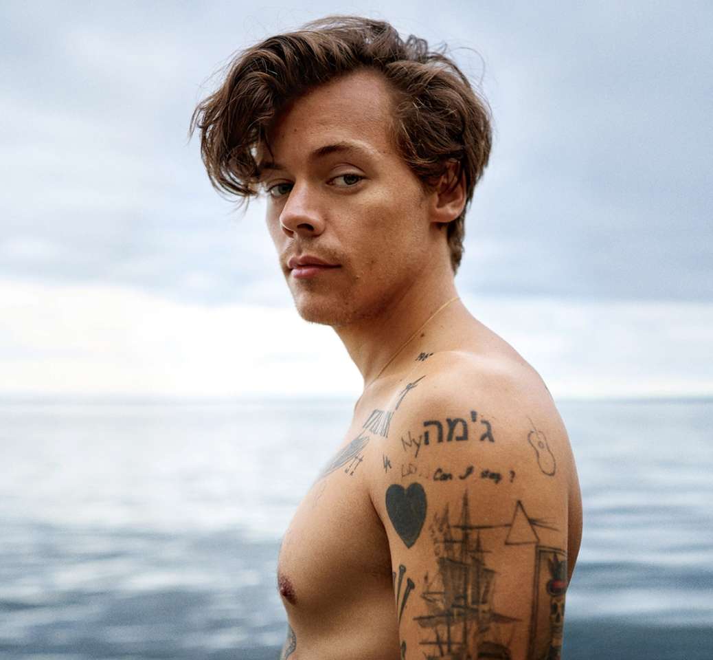 Harry Styles. jigsaw puzzle online
