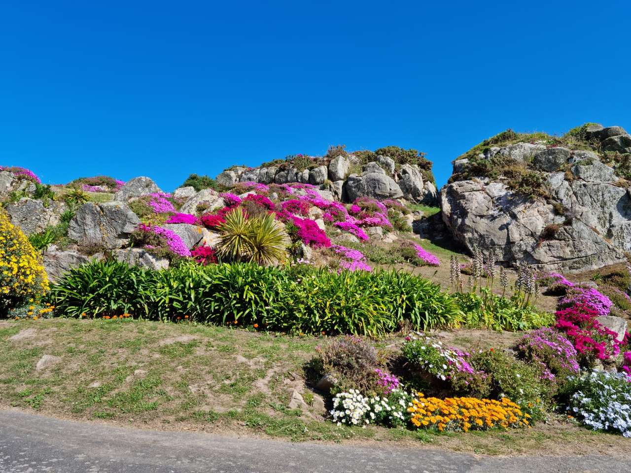 Blommig massiv i Bretagne pussel på nätet