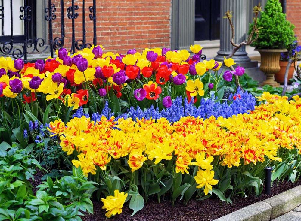 Весняні квіти перед будинком онлайн пазл