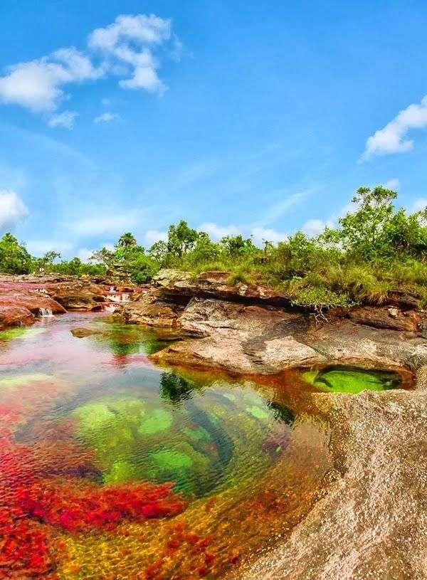 Caño Cristales. jigsaw puzzle online