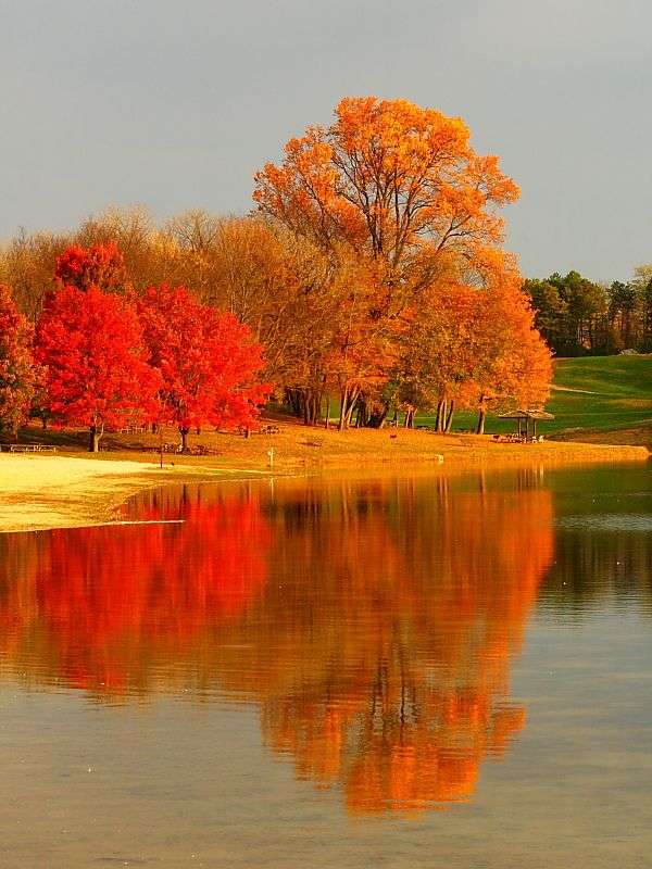 Пейзаж през есента. онлайн пъзел