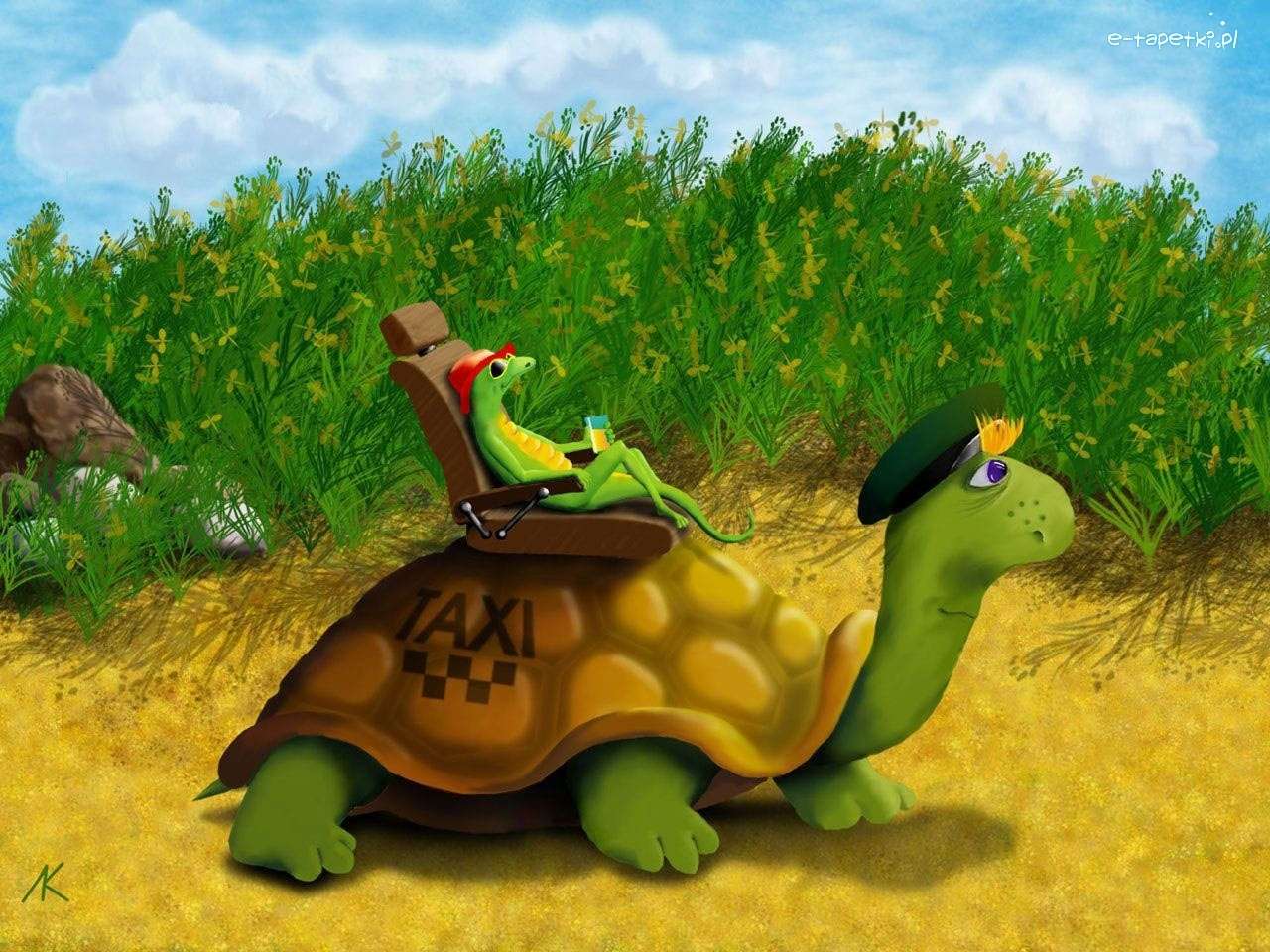Rolig bild - sköldpaddor Pussel online
