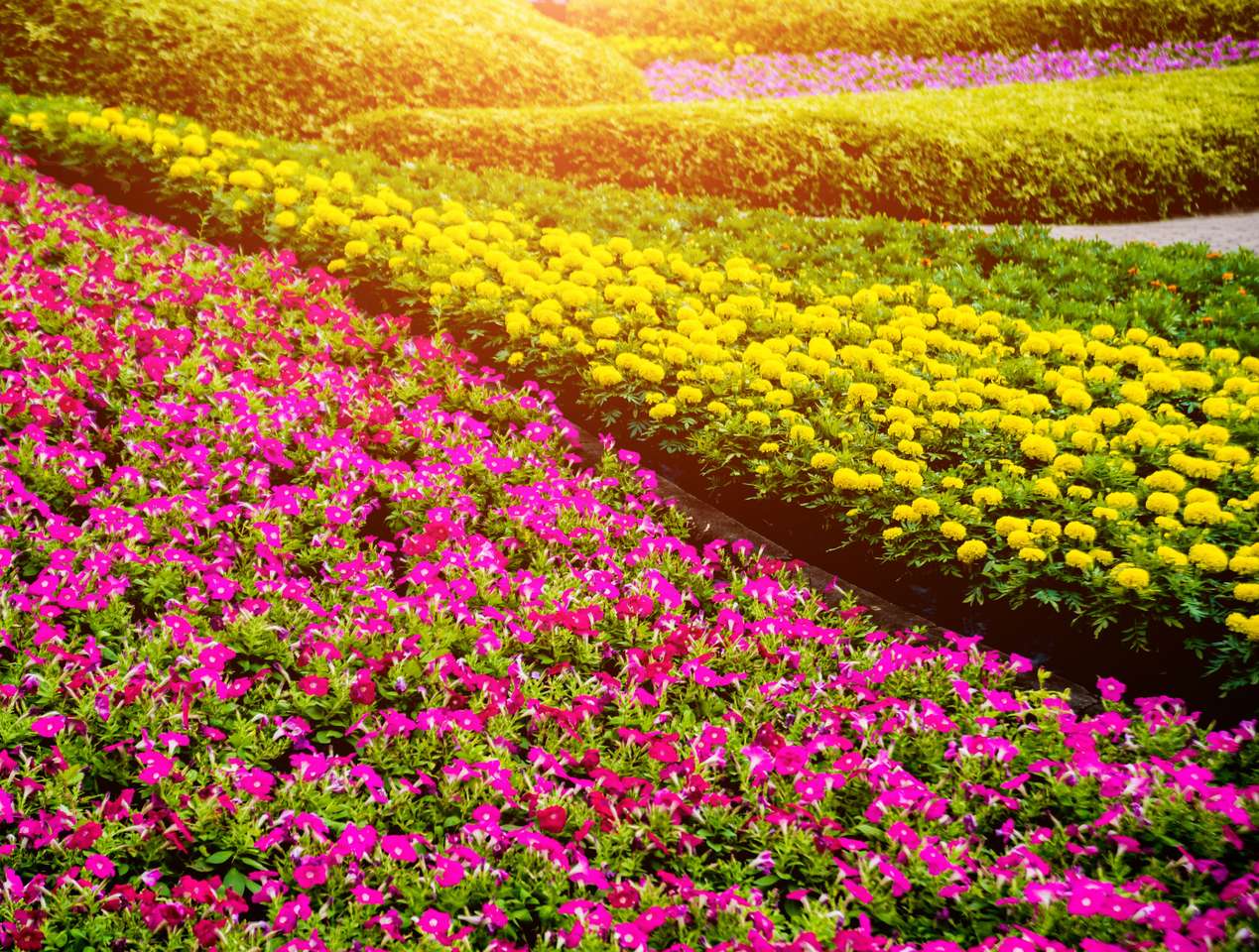 Цветна градина онлайн пъзел